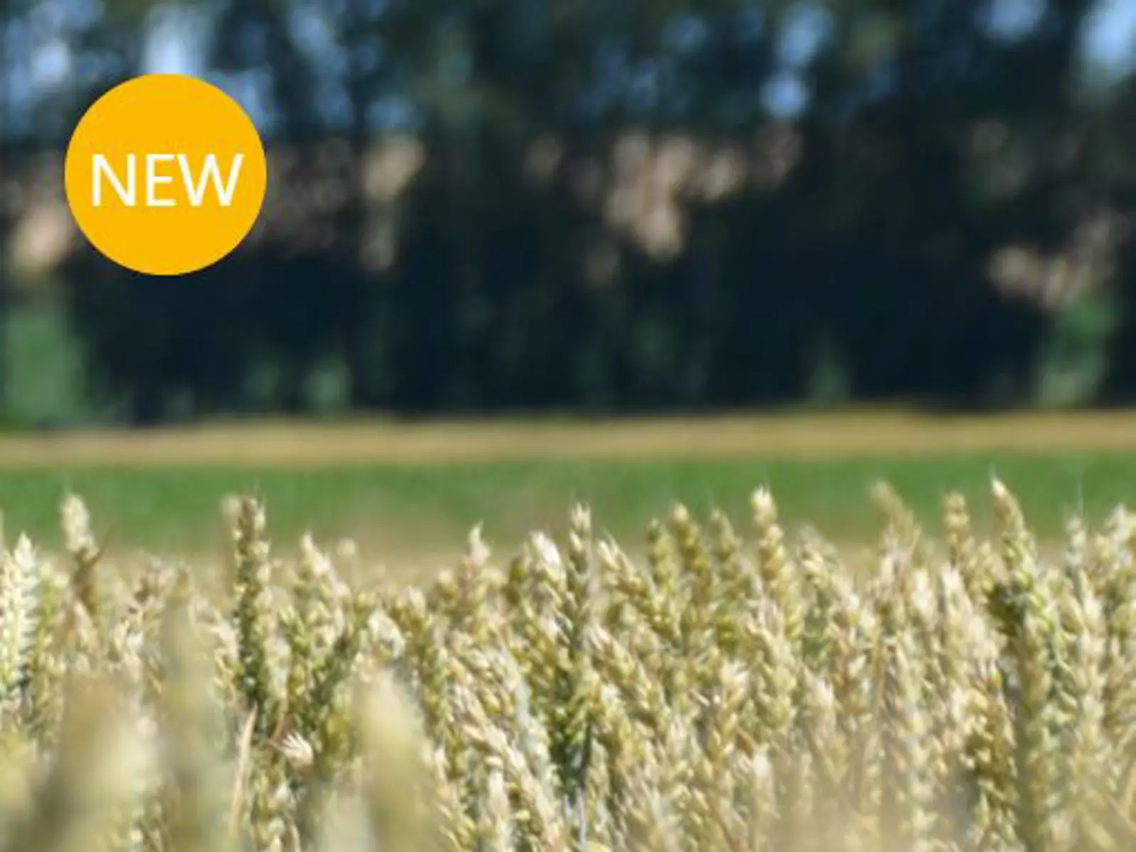 2025 | Harlow Agriculture
