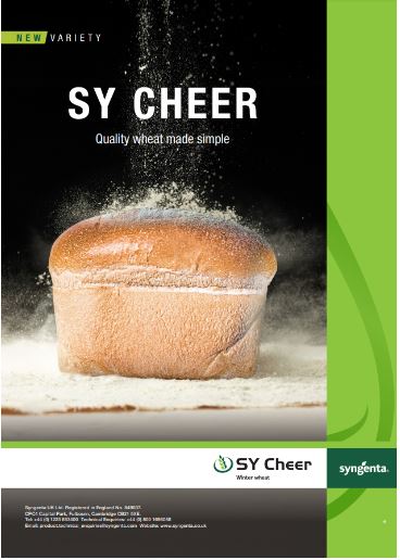 SY Cheer