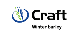 Craft